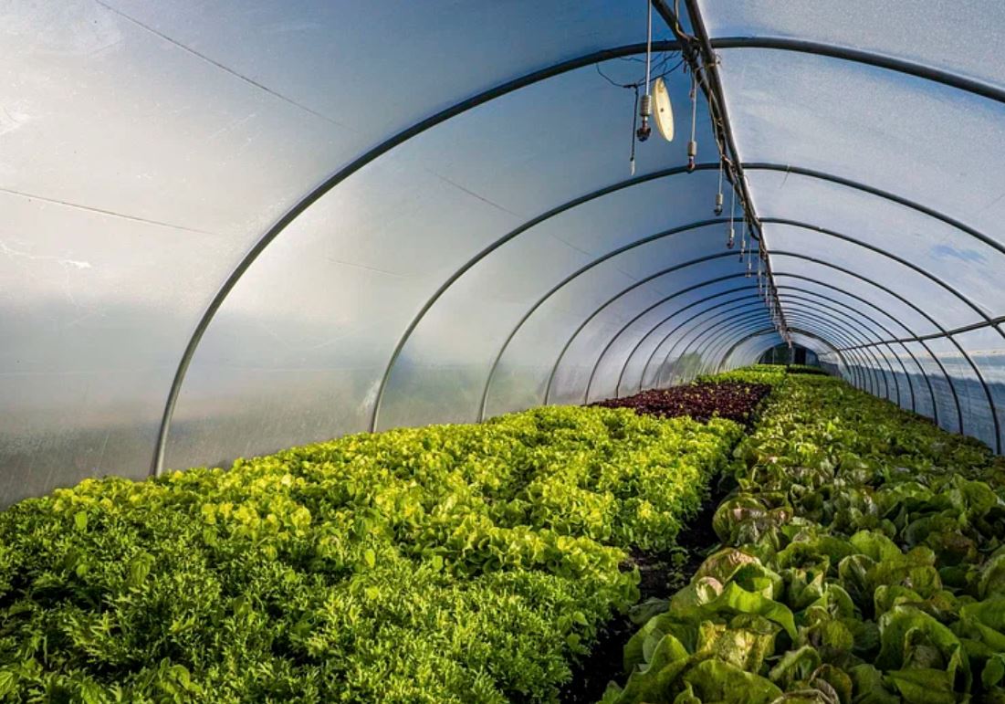 Zimbabwe launches digital hubs for rural agriculture value chain Zimbabwe launches digital hubs for rural agriculture value chain