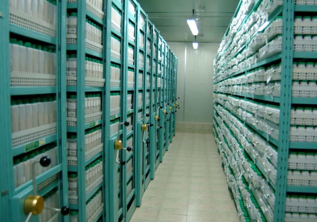 Cold Solutions Kenya Limited granted global certification for cold storage technology Cold Solutions Kenya Limited granted global certification for cold storage technology