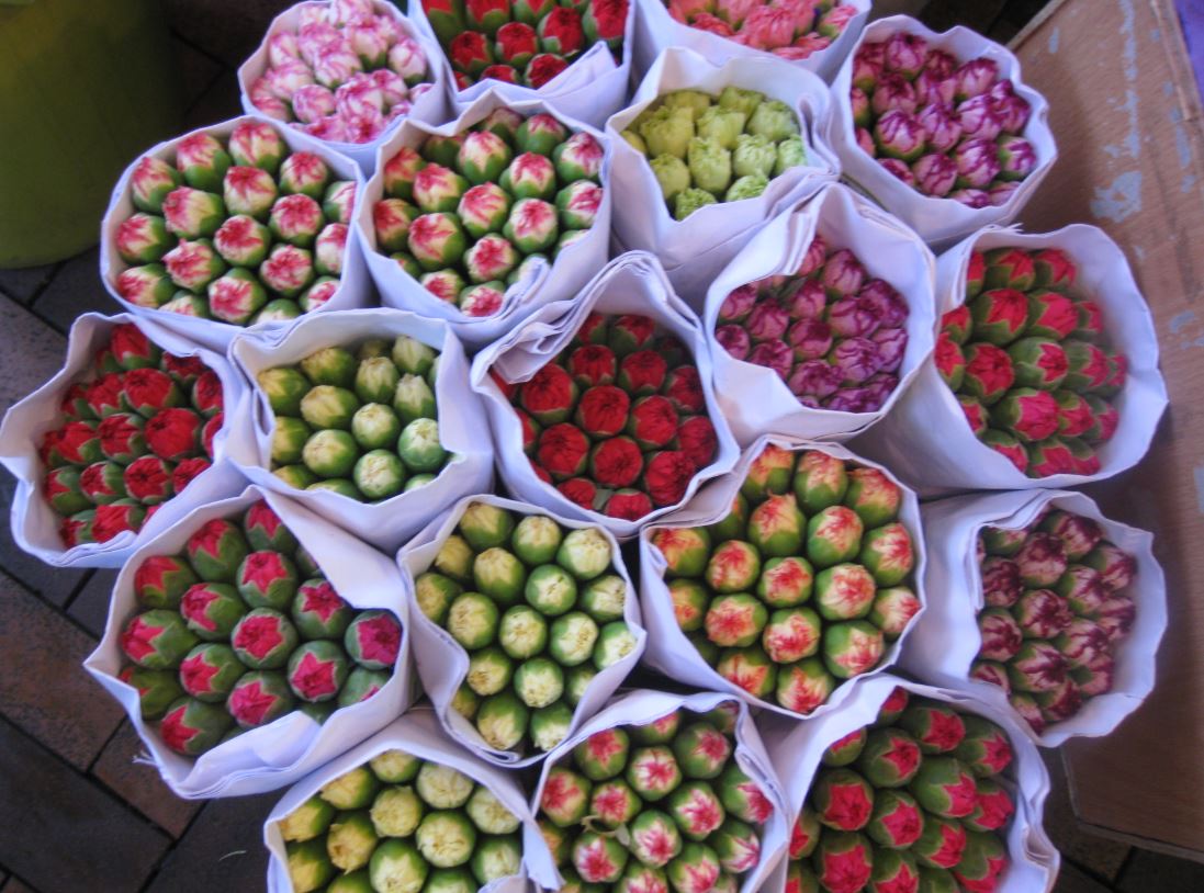 Swissport International expands flower corridor Swissport International expands flower corridor