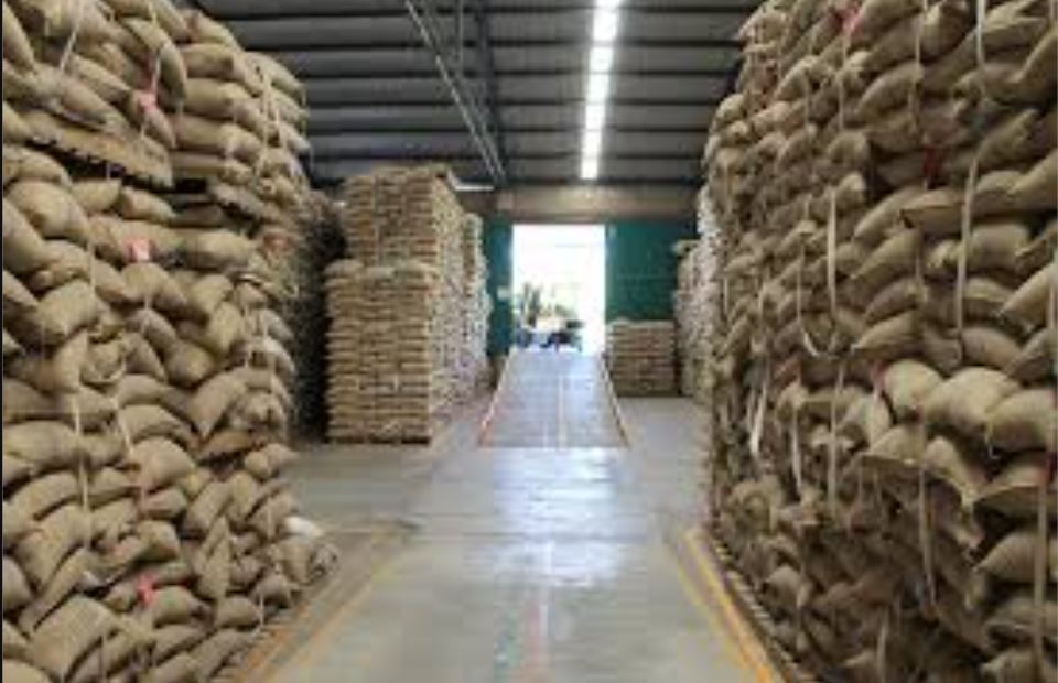 Construction of largest cocoa factory, warehouse in Ivory Coast completed Construction of largest cocoa factory, warehouse in Ivory Coast completed