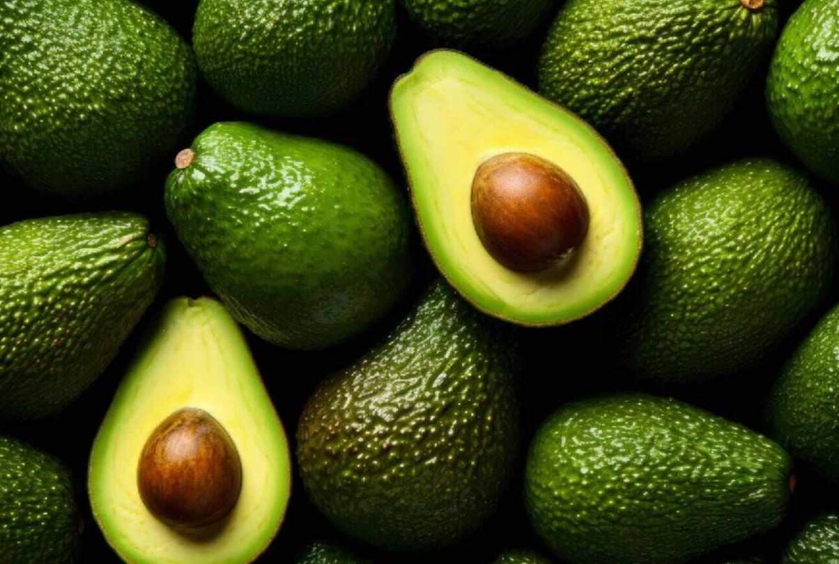 Kenya to host 5th International Africa Avocado Congress