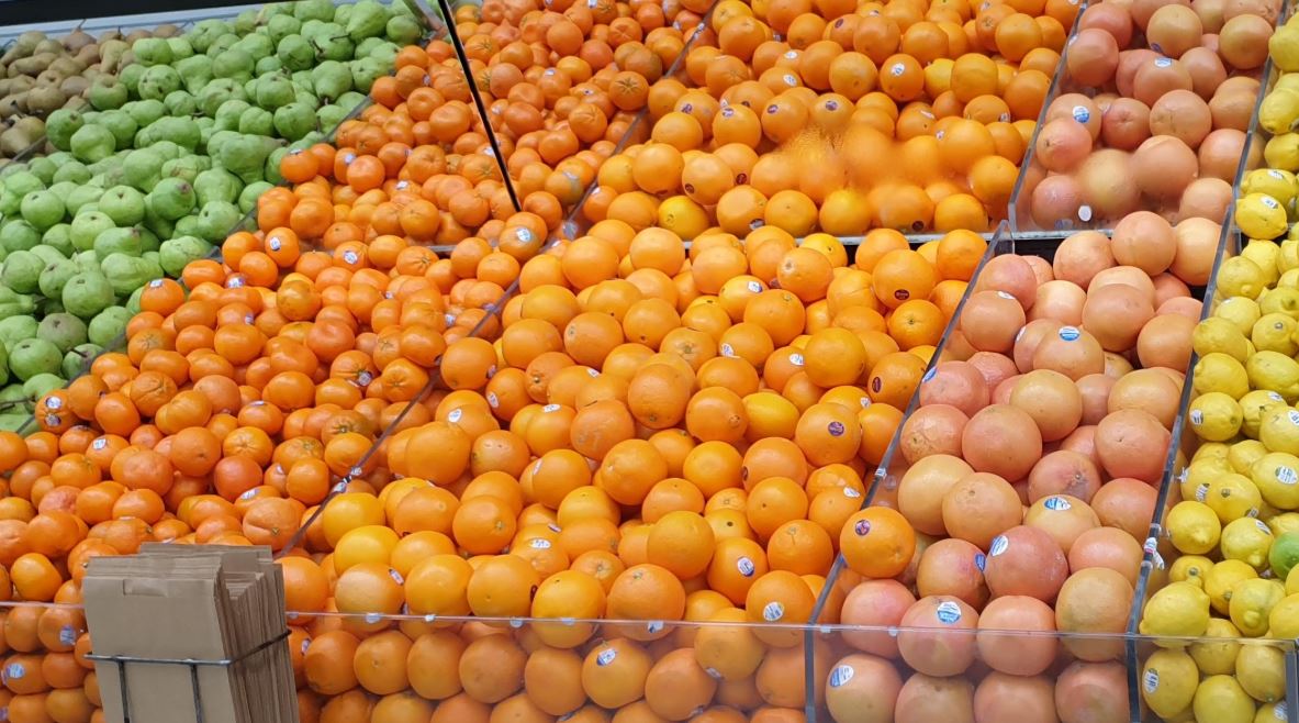 South Africa’s citrus export boom spurs shift toward rail logistics South Africa’s citrus export boom spurs shift toward rail logistics