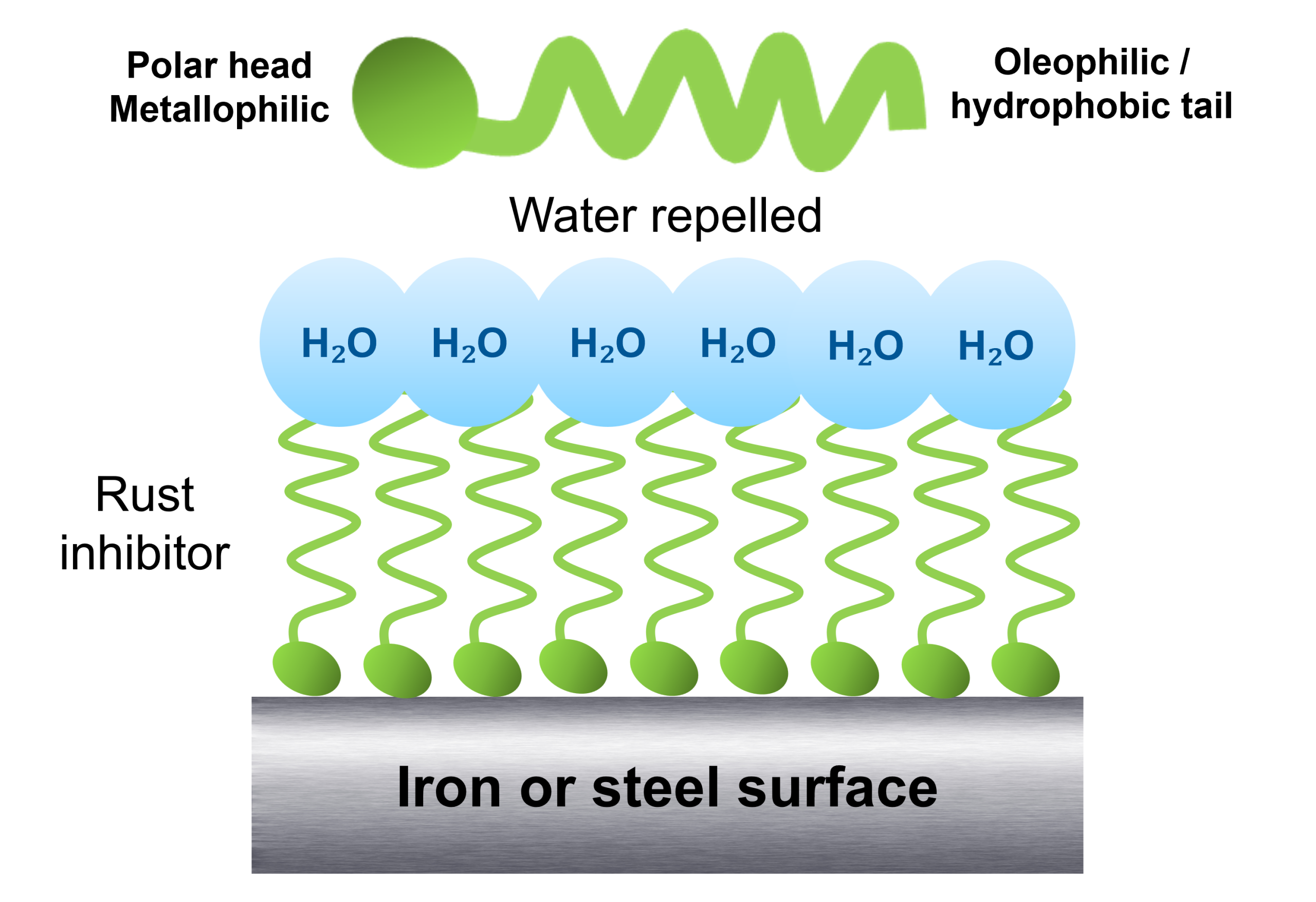 Corrosion inhibitors are your oil’s armour against rust and more Corrosion inhibitors are your oil’s armour against rust and more
