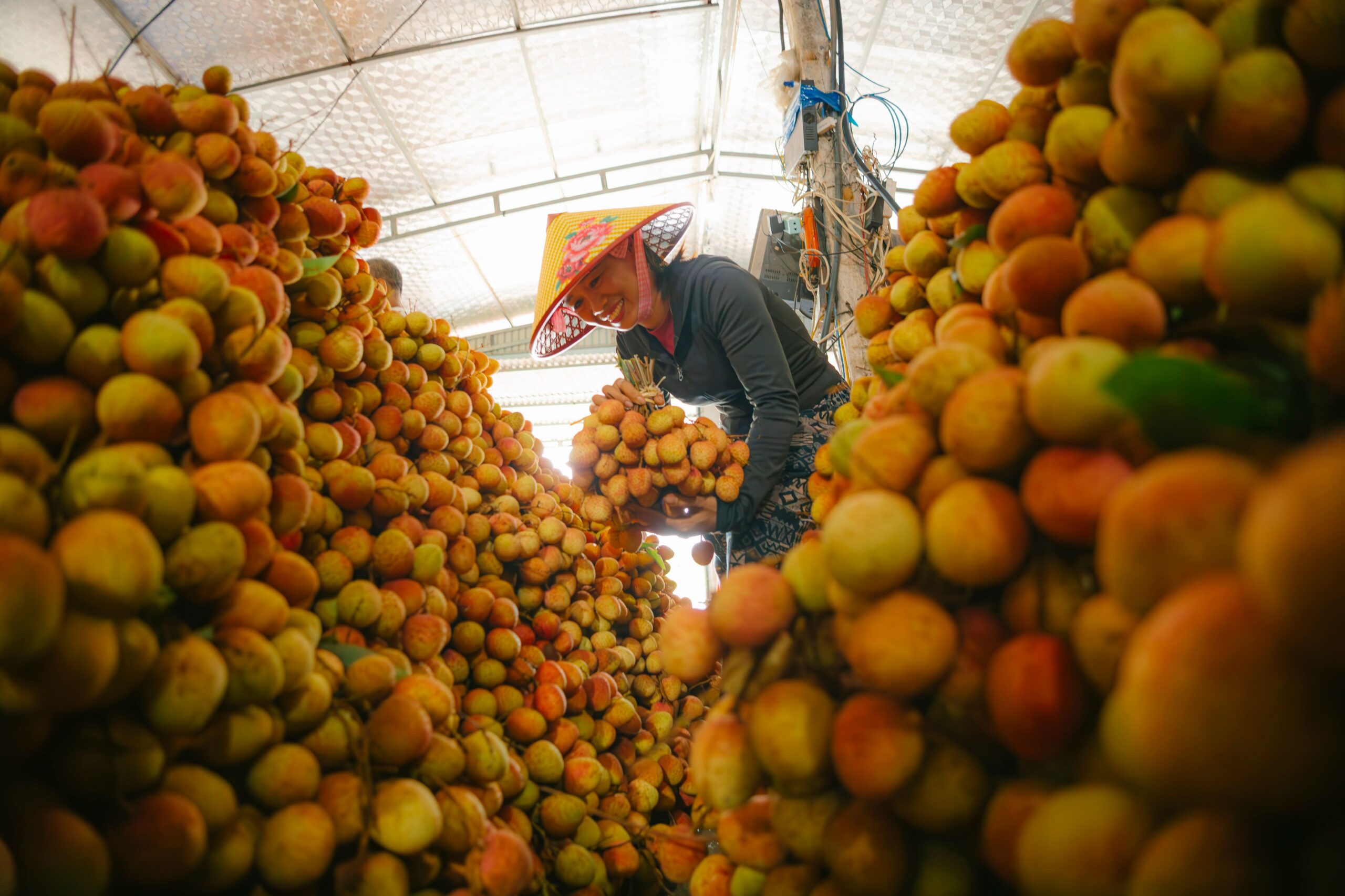 Cape Town port is expecting a 13% rise in fruit exports Cape Town port is expecting a 13% rise in fruit exports